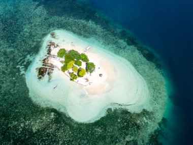 Filipinler 'de palmiye ağaçları ve tropik plajlarla adanın havadan çekilmiş görüntüleri..