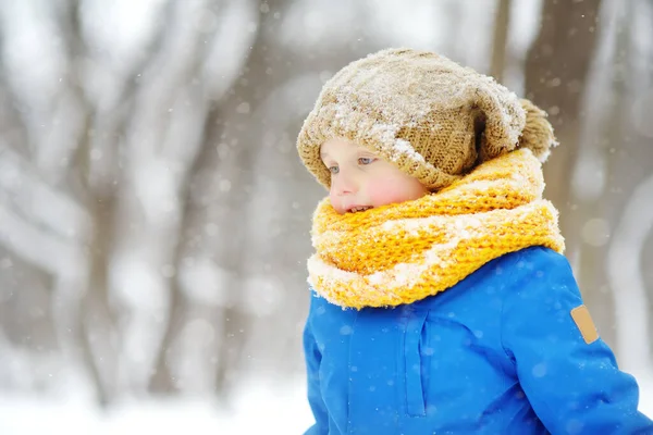 晴れた冬の日に森の中で楽しんでいる小さな男の子 暖かい服 手の手袋 スカーフで身を包んだ子供 雪の中で自然の中で子供と家族のためのアクティブな屋外レジャー — ストック写真