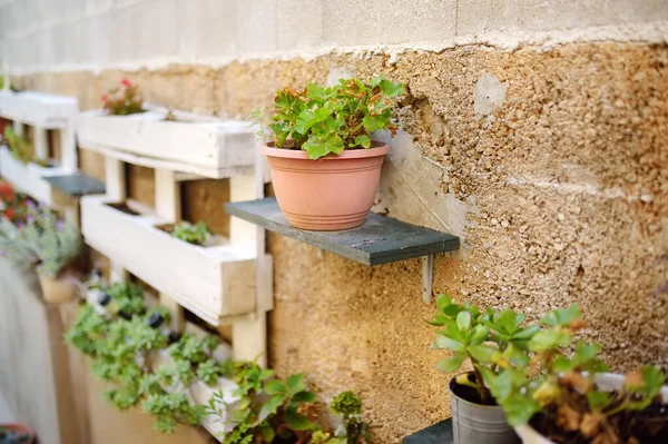 Urban Landscape Design Street Mediterranean Town Decorative Plants Wall Yard — Stock Photo, Image