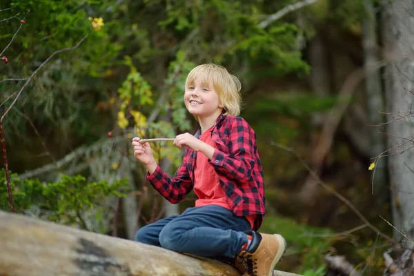 Veselé Školní Dítě Pěší Turistika Poznávání Přírody Lese Chlapec Cestuje — Stock fotografie