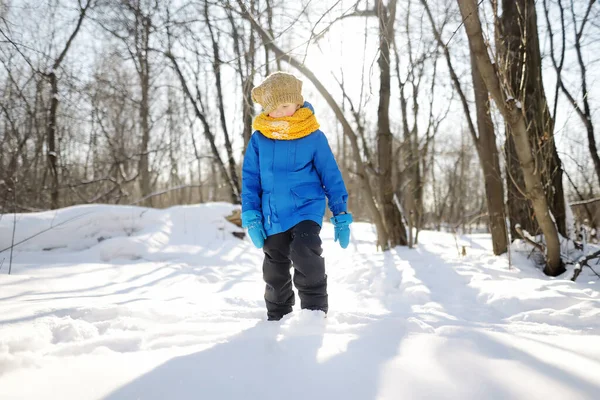 在阳光灿烂的冬日 小男孩在森林里玩得很开心 穿着保暖衣服 手手套和围巾的孩子 在雪地里为有孩子的家庭提供积极的户外活动 — 图库照片