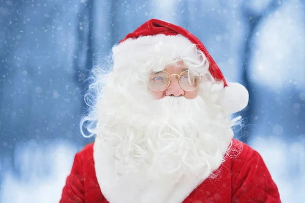 Close Portrait Santa Claus Snowy Winter Forest Animator Parent Santa — Stock Photo, Image