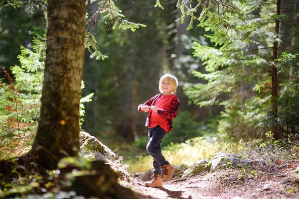 陽気学校の子供はハイキングや森の中で自然を探索しています 日当たりの良い森の中で小さな男の子の旅行 森の中で好奇心旺盛な子供たちのための夏休み活動 冒険とハイキングの概念 — ストック写真