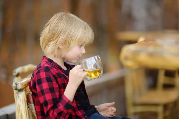 小さな男の子が木製の家具と田舎のカフェでハーブ香のお茶を飲む ハーブティーは多くの国で伝統的なホットドリンクです — ストック写真