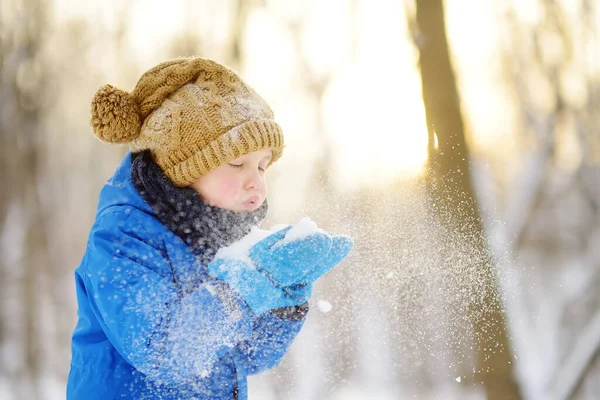 Мальчик Выливает Снег Рук Ребенку Нравится Гулять Парке Снежный День — стоковое фото
