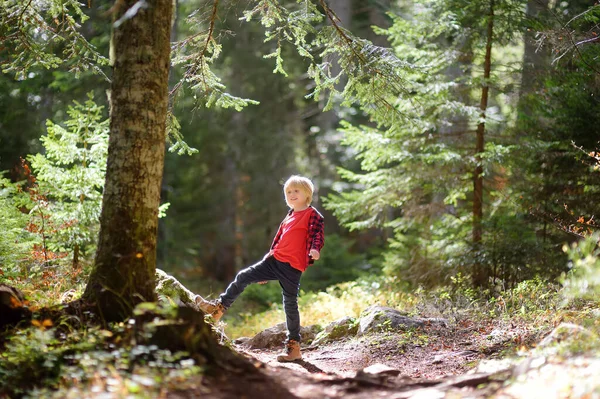 陽気学校の子供はハイキングや森の中で自然を探索しています 日当たりの良い森の中で小さな男の子の旅行 森の中で好奇心旺盛な子供たちのための夏休み活動 冒険とハイキングの概念 — ストック写真