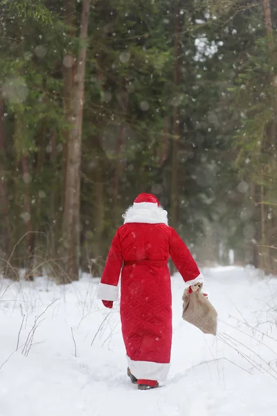 クリスマスの贈り物の袋を持つサンタクロースは雪の森を歩いています サンタクロースの衣装のアニメーターや親は子供のための休日に急いでいます 聖ニコラスの日 冬休みの伝統 — ストック写真