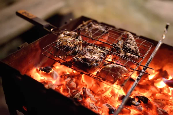 Een Barbecue Koken Tijdens Een Etentje Achtertuin Outdoor Picknick Voor — Stockfoto