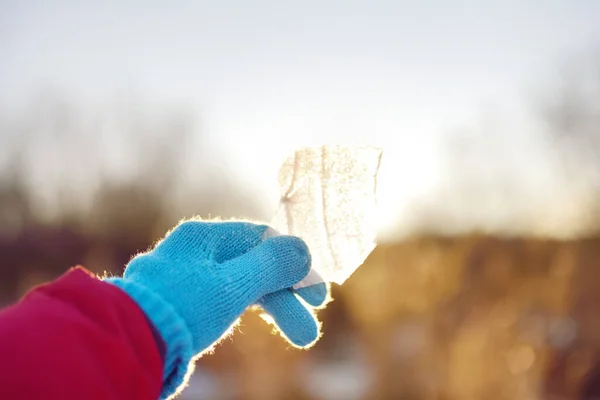 晴れた冬の日につらら遊びを楽しんでいる女の子 太陽の下で氷を見ている人 雪の中で冬の自然を活発にアウトドアレジャー — ストック写真