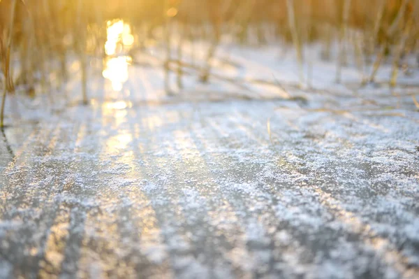 冷たい晴れた冬の日没に凍結湖や川の氷の表面 季節限定 自然の詳細 — ストック写真