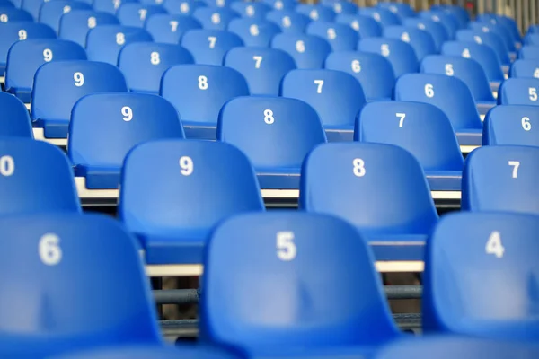 View of empty seats with numbers in the stands. The arena stands are waiting for crowds of fans. The theater, concert hall, audience are ready to start of the performance, lecture or conference.