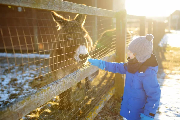아이들은 겨울에는 가축들 농장에서 즐겁게 있습니다 당나귀를 쓰다듬고 아이들 동물들 — 스톡 사진