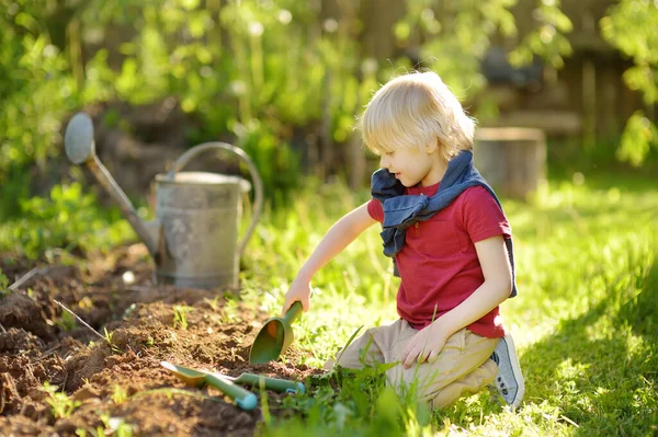 夏天阳光明媚的时候 学龄前男孩在后院挖铲子 小园丁在花园里季节性地干活 有机园艺 — 图库照片