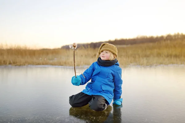 可爱的学龄前男孩在寒冷 阳光灿烂的冬日落日下 在冰封的湖面或河流上玩耍 在家庭徒步旅行中 孩子们在用冰柱和干芦苇植物玩乐 儿童冬季户外运动 — 图库照片