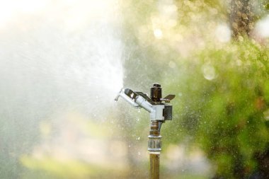 Bahçe fıskiyesi güneşli arka bahçede. Bahçe malzemeleri. Güneşli bir yaz gününde bahçedeki çimenleri sulamak.