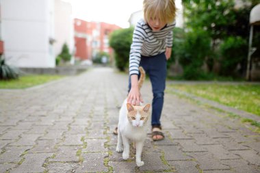 Küçük çocuk küçük bir kasabanın sokaklarında vahşi kedileri okşuyor. Çocuk evcil hayvanlara bakıyor. Şehirde evsiz hayvanlar var. Kediye odaklan.
