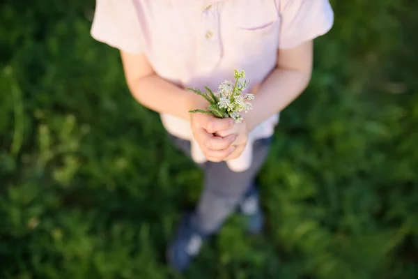 Cute blond boy playing with wild flowers in sunny spring or summer park. Preschooler kid collects a bouquet for his mom. Little child explore nature. Mothers day