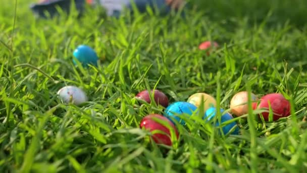 Paskalya Günü Bahar Bahçesinde Yumurta Arayan Küçük Bir Çocuk Geleneksel — Stok video