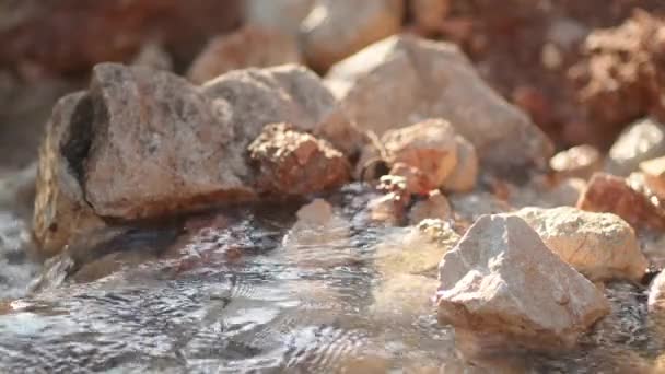 Vídeo Cerca Del Agua Transparente Más Pura Río Montaña Que — Vídeo de stock