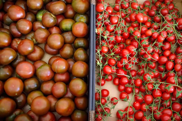 Röda Hemodlade Tomater Och Körsbär Den Lokala Jordbruksmarknaden Eller Snabbköpet — Stockfoto
