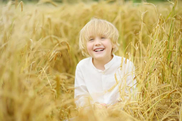 黄金麦田上可爱的学龄前男孩的画像 穿着白衬衫的孩子在田里散步 夏天在黑麦地里长大的孩子 — 图库照片