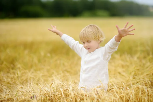 Portrét Roztomilého Školáka Zlatém Pšeničném Podzimním Poli Dítě Bílé Košili — Stock fotografie