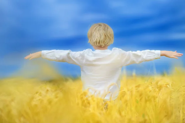 stock image Pray for Ukraine. Child is on the background of bly sky and yellow wheat field. Background have colors of the Ukrainian flag. Concepts of freedom, peace and independence.