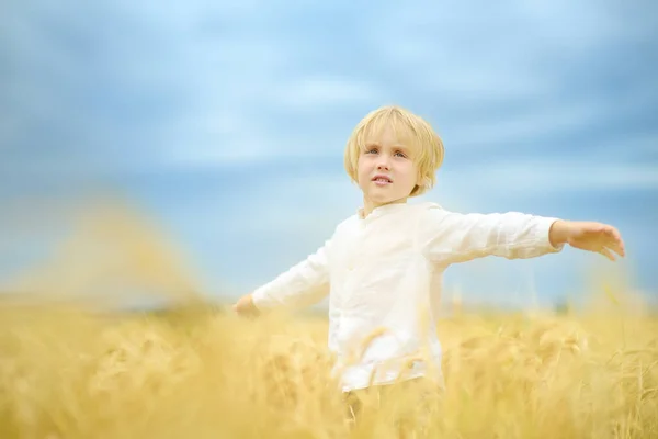 Bid Voor Oekraïne Kind Achtergrond Van Bly Lucht Geel Tarweveld — Stockfoto