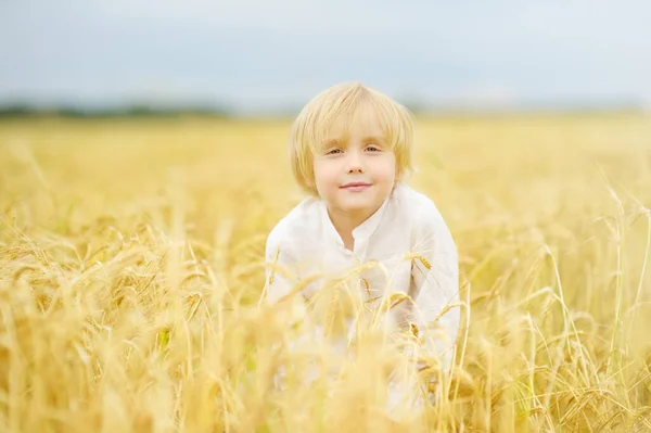 Portrait Cute Preschooler Boy Gold Wheat Autumn Field Child Wearing — Stock Photo, Image