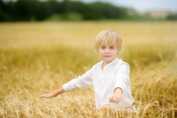 Porträt Eines Niedlichen Vorschulkindes Auf Einem Goldenen Weizenherbstfeld Ein Kind — Stockfoto