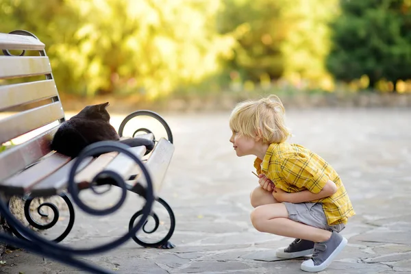 귀여운 벤치에 고양이를 감탄하고 있습니다 귀여운 노숙자 고양이를 고양이를 쓰다듬고 — 스톡 사진
