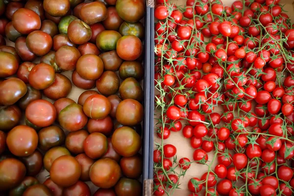 地元の農業市場やスーパーマーケットで赤い自家製トマトとチェリー 健康的なベジタリアン料理 新鮮な野菜の保管 中小企業 — ストック写真