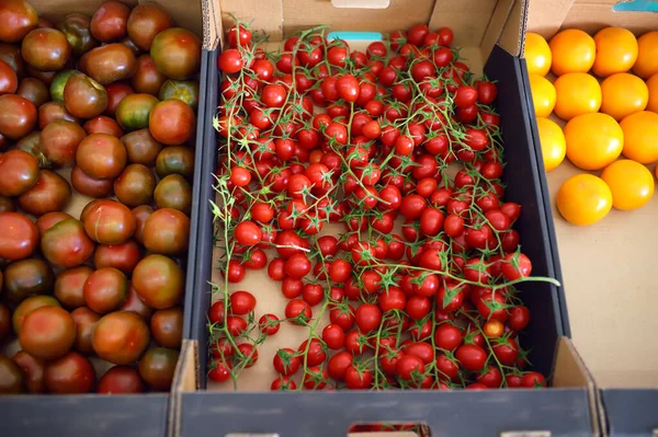 地元の農業市場やスーパーマーケットで赤と黄色の自家栽培の赤いトマトとチェリー 健康的なベジタリアン料理 新鮮な野菜の保管 中小企業 — ストック写真