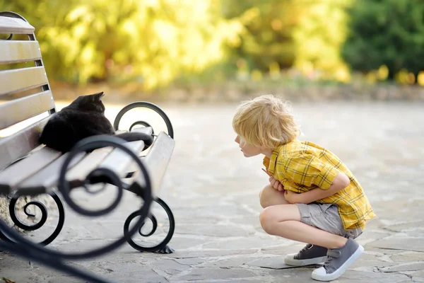 Мила Дошкільнята Дитина Захоплюється Чорним Кошеням Лежить Лавці Громадському Парку — стокове фото
