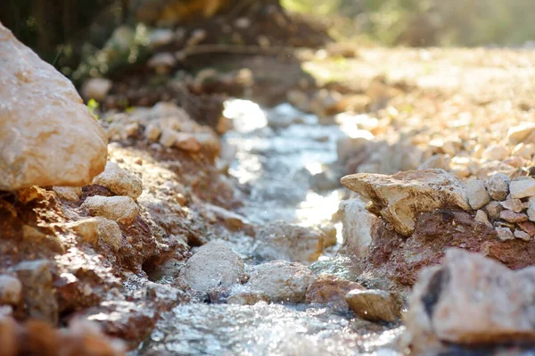 stock image Purest transparent water in a mountain river flowing among the stones. Details of a sunny day in the mountains. Pure still clean water in a mountain spring