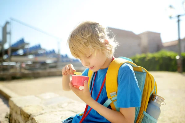 Счастливый Маленький Мальчик Ест Вкусное Мороженое Бумажной Чашке Открытом Воздухе — стоковое фото
