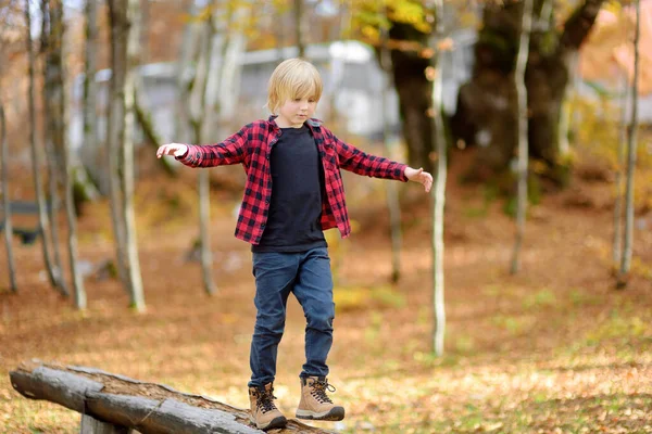 Veselé Dítě Během Procházky Lese Slunečného Podzimního Dne Preteen Chlapec — Stock fotografie