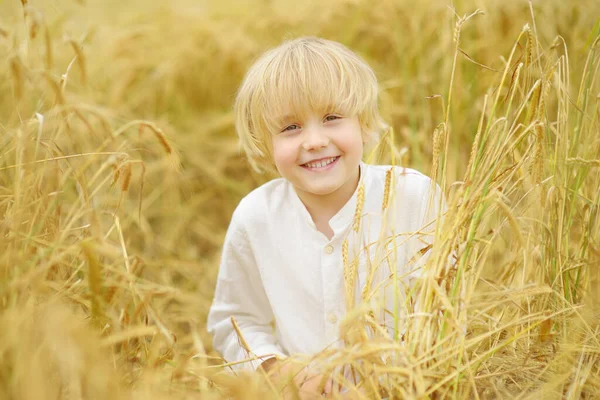 黄金麦田上可爱的学龄前男孩的画像 穿着白衬衫的孩子在田里散步 夏天在黑麦地里长大的孩子 — 图库照片