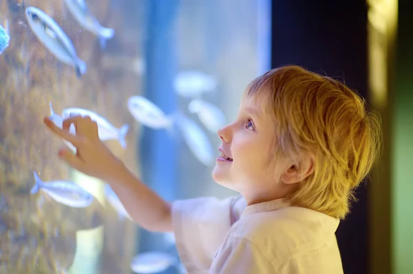 Little Boy Watches Fishes Aquarium Child Exploring Nature Elementary Student — стоковое фото