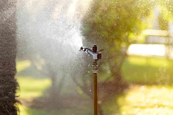 Garden Sprinkler Sunny Backyard Public Park — Stock Photo, Image
