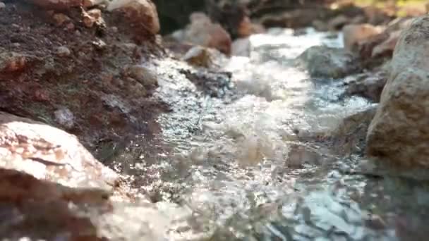 Vídeo Cerca Del Agua Transparente Más Pura Río Montaña Que — Vídeo de stock