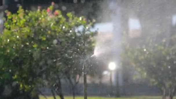 Garden Sprinkler Public Park Gardening Equipment Watering Grass Yard Sunny — Stock Video
