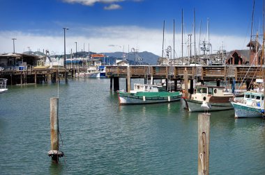 San Francisco, ABD - 24 Nisan 2016: 45 numaralı rıhtımdaki marinada demirli eğlence gemileri. San Francisco rıhtımında balıkçı tekneleri ve yatlar.
