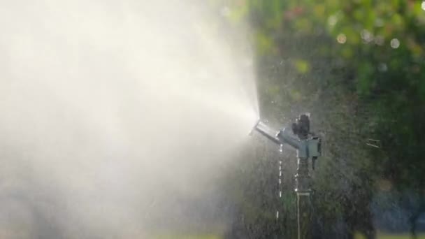 Garden Sprinkler Public Park Gardening Equipment Watering Grass Yard Sunny — Stock Video