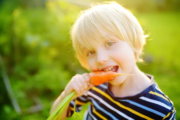 Glücklicher Kleiner Junge Hilft Familie Bio Gemüse Aus Eigenem Anbau — Stockfoto
