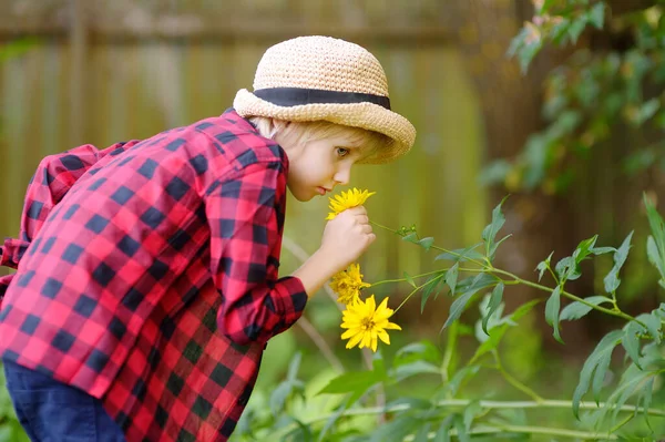 小男孩戴着草帽 在自家花园里嗅着一朵芬芳的黄花 在温暖的阳光明媚的夏日 孩子们在后院玩得很开心 在村里与祖父母共度暑假 — 图库照片