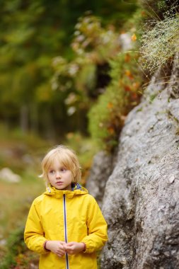 İlkokul çocuğu bir sonbahar günü ormanda yürür. Doğayı keşfeden meraklı bir çocuk. Çocuklu aileler için turizm ve seyahat. Yürüyüş.