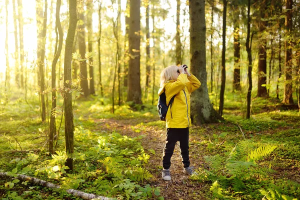 Mały Harcerzyk Lornetką Podczas Wędrówki Jesiennym Lesie Dziecko Patrzy Lornetką — Zdjęcie stockowe