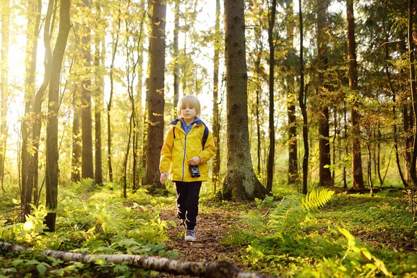 秋の森の中でハイキング中に双眼鏡を持つ小さな男の子のスカウト 子供は双眼鏡で見ている 子供のための冒険 スカウティング ハイキング観光の概念 自然の探索 — ストック写真