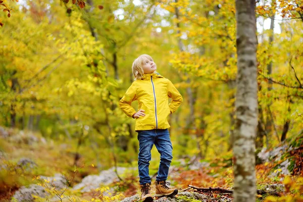 Chlapec Základní Školy Chodí Podzim Lesem Národním Parku Lovcen Černé — Stock fotografie